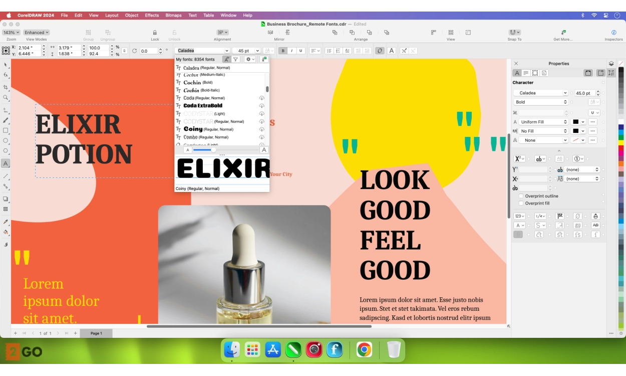 CorelDRAW Graphics Suite 2024 | Student version